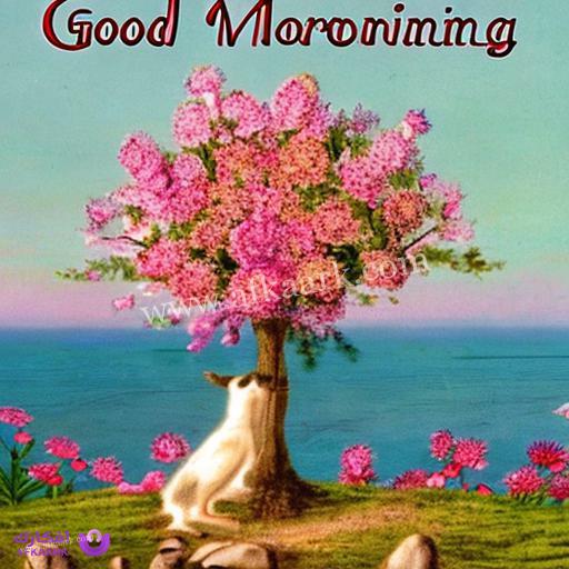 صباح الخير دعاء جميل جدا | افضل 50 دعاء صباح الخير جميل جدا قصير دعاء الصباح 8 صباح الخير دعاء جميل جدا