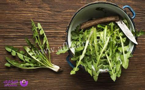 طريقة استخدام عشبة الهندباء للشعر| التجارب وأبرز الوصفات 5 طريقة استخدام عشبة الهندباء للشعر