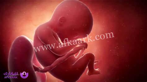 علامات زيادة وزن الجنين في الشهر الثامن وأهم طرق زيادة وزن الجنين 5 علامات زيادة وزن الجنين في الشهر الثامن